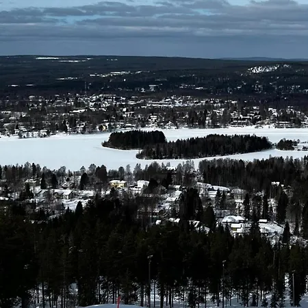Private House By The River * Rovaniemi